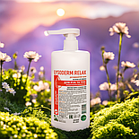 Крем для рук Лізодерм Релакс 500 мл на основі олії абрикоса, фото 6