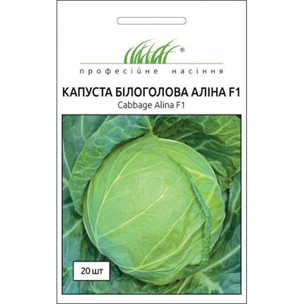 Насіння капусти Аліна F1, 20 насінин — капуста білокачанна, рання, фото 1