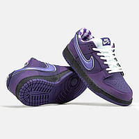 Мужские кроссовки Nike SB Dunk Low Purple Lobster, найк сб данк фиолетовые лобстер, найки данки осенние низкие