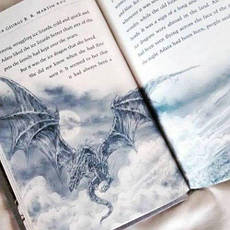 The Ice Dragon, фото 4