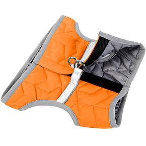 Шлея для собак Collar м'яка AiryVest ONE XS4 36-39 помаранчева 29404, фото 3