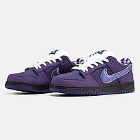 Кросівки Nike SB Dunk Low Purple Lobster чоловічі, найк сб данк фіолетові лобстер, найки данки осінні низькі