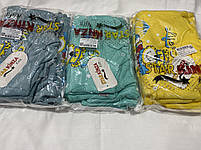 Реглан-стійка для хлопчика 1-4 роки. "STAR KINZA" 3 нитки з начосом, фото 2