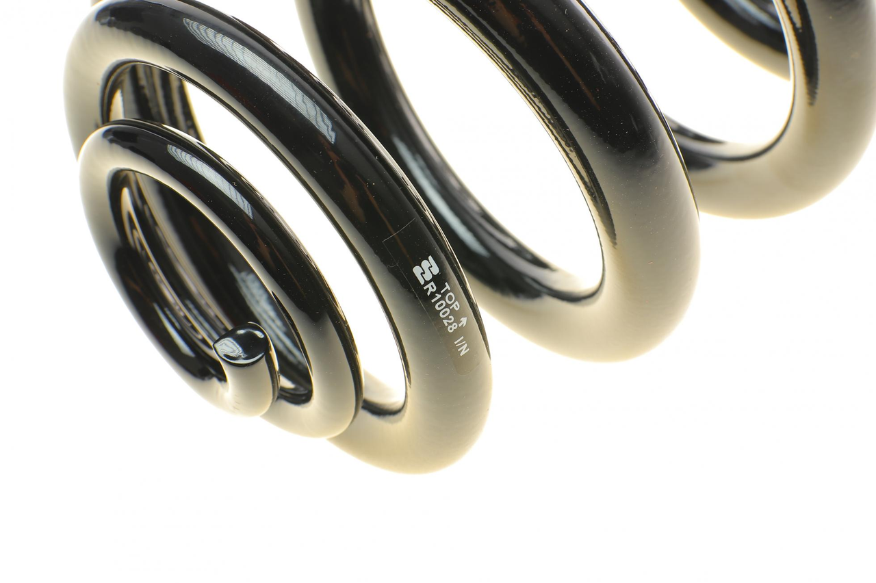 Пружина (задня) VW T4 91- (з тонким краєм на витках) EIBACH R10028, фото 1