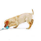 Іграшка для собак М'яч на мотузці з присоском Perfect Power (Фіолетовий) Іграшка для тварин жувальна, фото 7