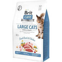 Сухой корм Brit Care Cat GF Large cats Power & Vitality для котов крупных пород 2 кг