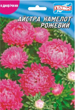 Айстра Камелот рожевий 100 шт