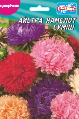 Айстра Камелот суміш 100 шт