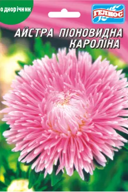 Айстра Кароліна 100 шт