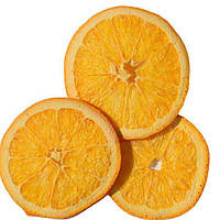 Апельсин лиофилизированный, сублимированный - кольца (50 г), Лиофуд