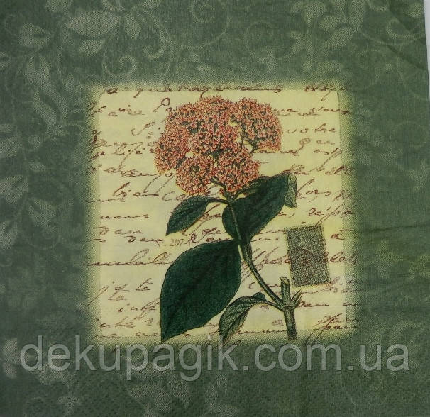 Серветка для декупажу ЦСГ-6, 33х33см