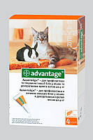 Капли от блох и клещей Bayer Advantage (Адвантейж) 40 - для котов весом до 4 кг и хорьков 1 пипетка
