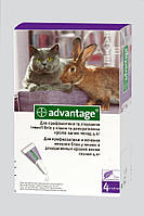 Капли от блох и клещей Bayer Advantage 80 (Адвантейж) для котов весом более 4 кг (1 пипетка)