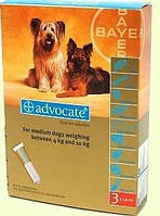 Advocate (Адвокат) капли для собак весом от 4 до 10кг, 1 пипетка (Bayer)