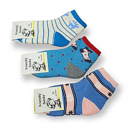 Шкарпетки дитячі Friendly Socks 4031016-003 сер. махра різні кольори р.16 (уп.12 пар)