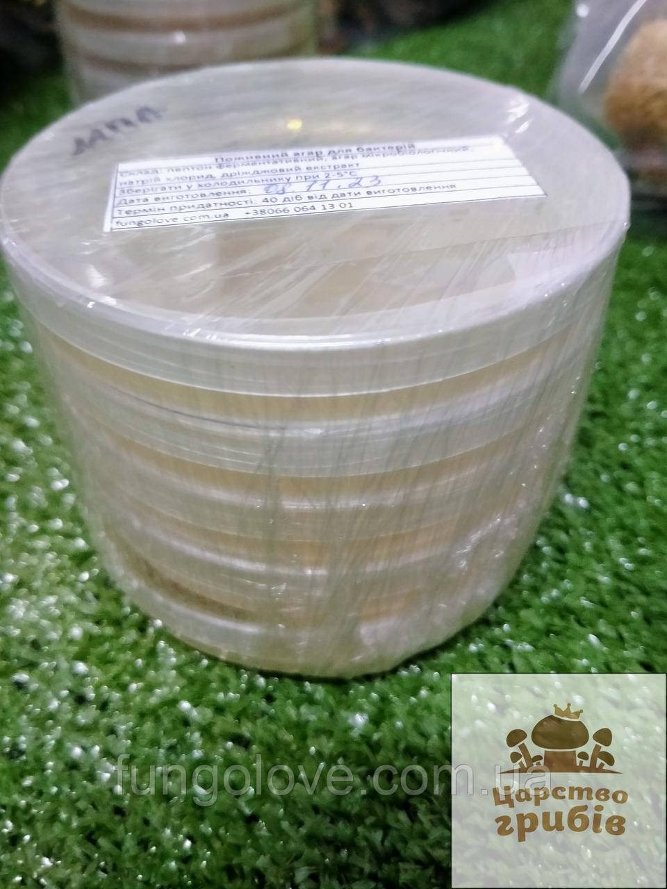 Поживний агар для бактерій. Чашки Петрі, групова упаковка 5 шт., фото 1