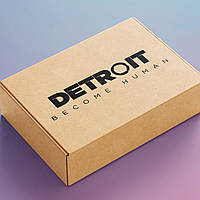 Подарочный бокс СЮРПРИЗ Детройт Detroit box