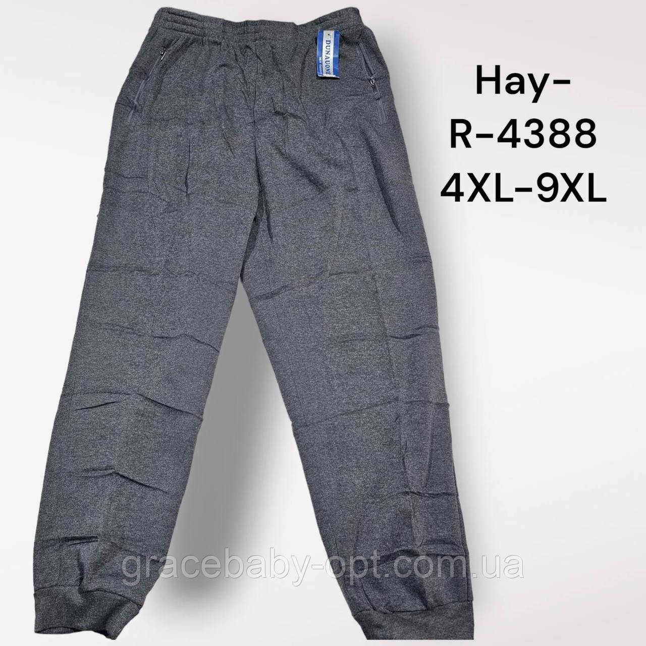 Спортивні штани утеплені чоловічі оптом, 4XL-9XL рр, No Hay-R-4388