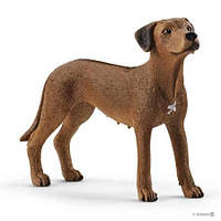 SCHLEICH 13895 РОДЕЗИЙСКИЙ РИДЖБЕК, кобель