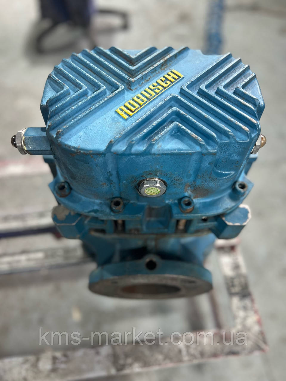 Ремонт роторної повітродувки Robuschi RBS-65/F