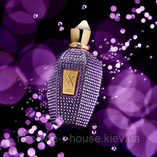 Парфуми Xerjoff Purple Accento 100 мл оригінал