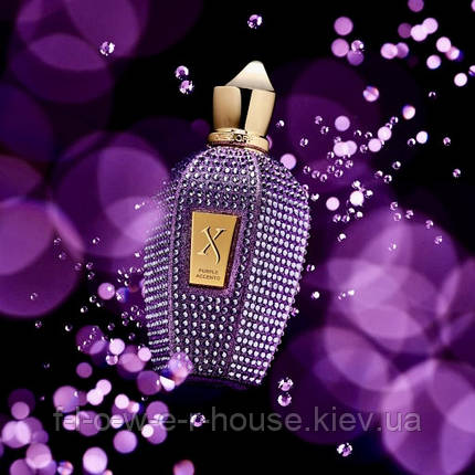 Парфуми Xerjoff Purple Accento 100 мл оригінал, фото 1