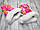Зимовий конверт кокон в коляску для новонароджених і муфта на флісі з хутряною опушкою 8000 МЛН, фото 7