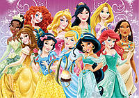 Печать вафельной (рисовой) картинки Все принцессы на торт вафельная УЛЬТРАТОНКАЯ
