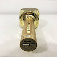 Беспроводной Bluetooth Микрофон для Караоке Микрофон DM Karaoke Y 68 + BT. IK-389 Цвет: золотой