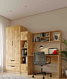 Шафа "Teenager" у корпусі Тахо, фото 10