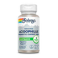 Ацидофилы, Пробиотик и пребиотик морковного сока, Acidophilus 3 Strain Probiotic & Prebiotic Carrot Juice,