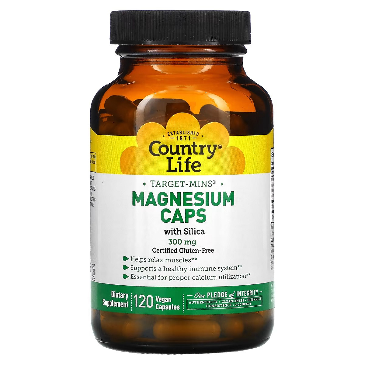 Магній із кремнієм, 300 мг, Target-Mins, Magnesium Caps with Silica, Country Life, 120 вегетаріанських капсул
