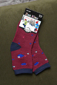 Шкарпетки дитячі махрові для хлопчика бордового кольору р.9-12 167885M