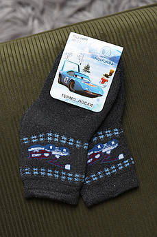 Шкарпетки дитячі махрові для хлопчика темно-сірого кольору 167961M