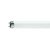 Лампа люминесцентная Philips TLD 30W / 54 G13