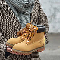 Женские ботинки Timberland Ginder