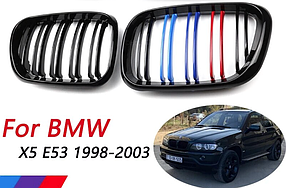 Решітка ноздрі радіатора BMW (БМВ) X5 series (E53) 1999-2003 Глянець 2 ребра M Style