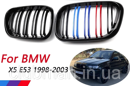 Решітка ноздрі радіатора BMW (БМВ) X5 series (E53) 1999-2003 Глянець 2 ребра M Style, фото 1