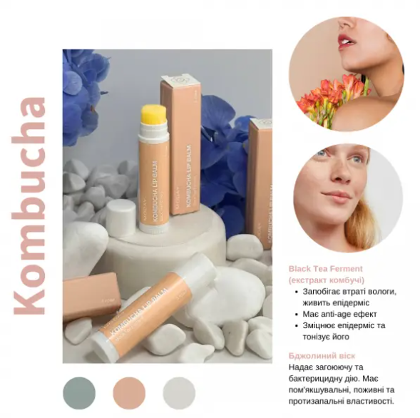Натуральний бальзам для губ MODAY Kombucha LIP BALM на основі ферментованого чорного чаю та бджолиного воску, фото 1