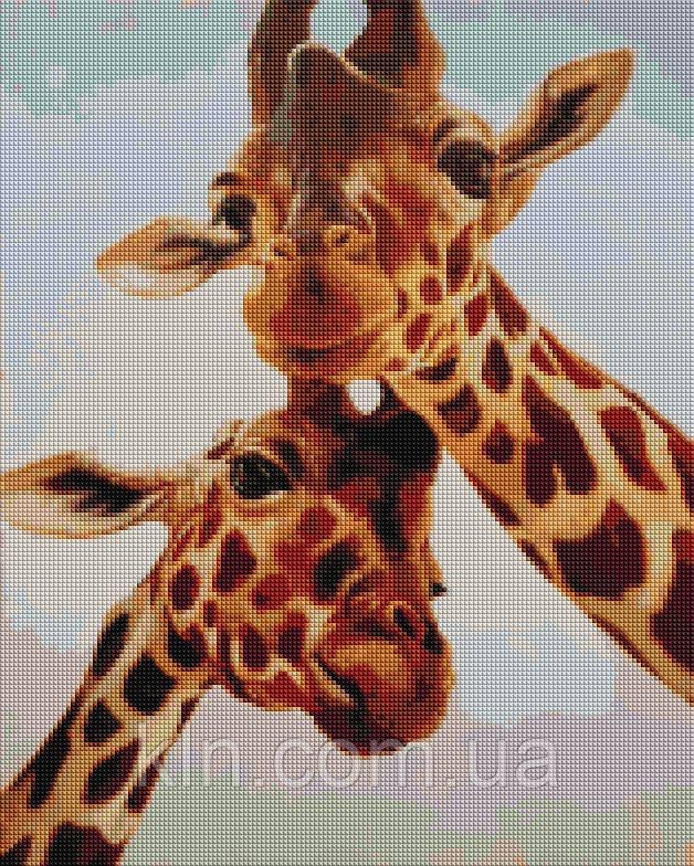 Алмазна мозаїка BrushMe Споріднені душі ©Lucia Heffernan 50 х 40 см (арт. DBS1223)