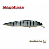 Воблер Megabass Kanata AYU GLX BOLT