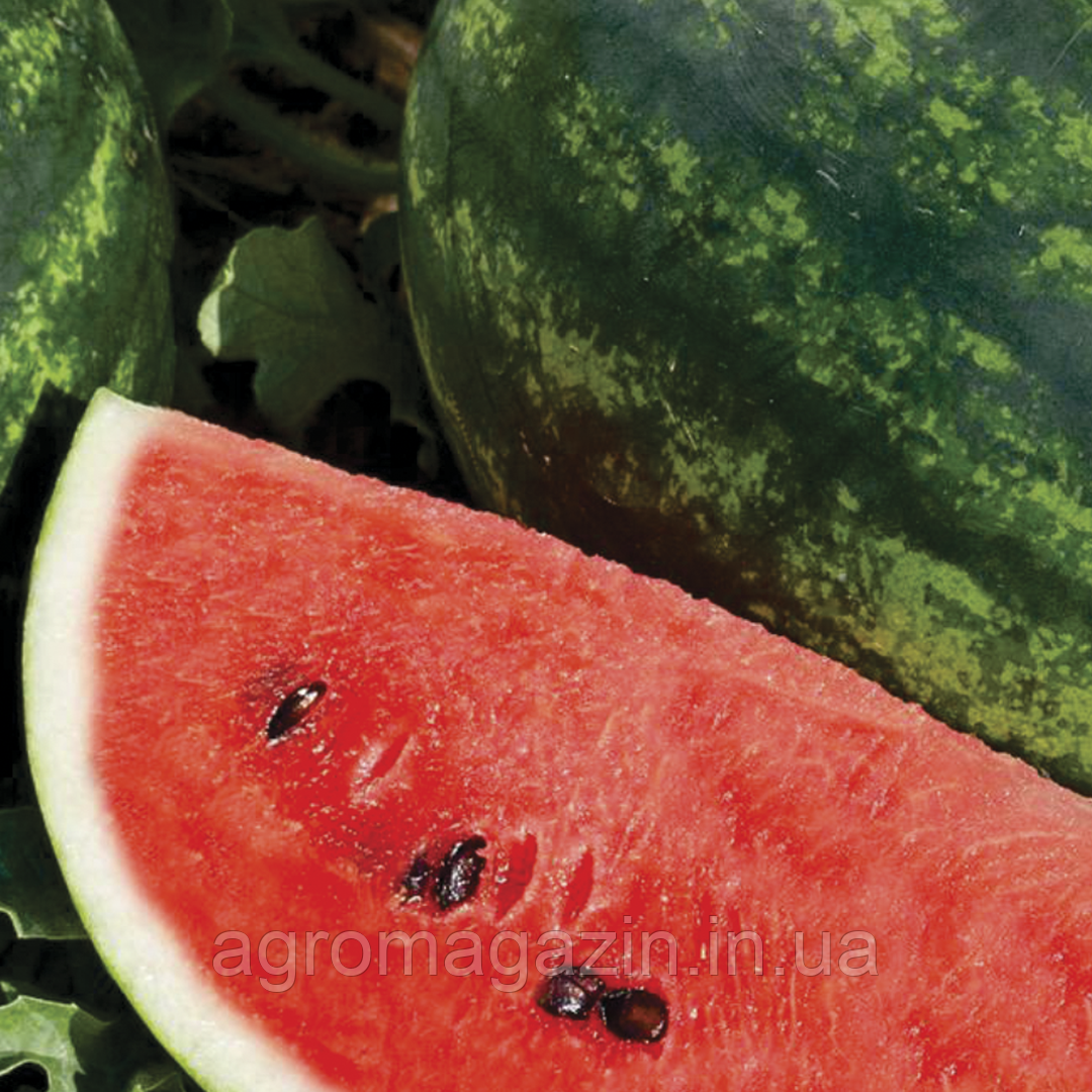 Кавун Марана F1 (1000нас.)