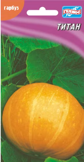 Гарбуз Титан 5 шт