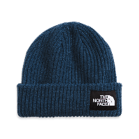 Шапка The North Face salty dog beanie NF0A7WG8HDC