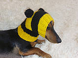 Шапка снуд Пчела для собаки с помпонами ручной работы, фото 4