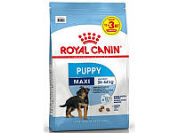 Сухой корм Royal Canin Maxi Puppy для щенков крупных пород, с мясом птицы и рисом, 15 кг