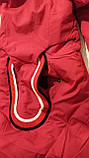 Пуховик пальто зимове 48 червоний жіночий, фото 7