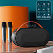 Караоке мікрофон LOSSO P10 Double з колонкою 30W бездротовий, фото 2