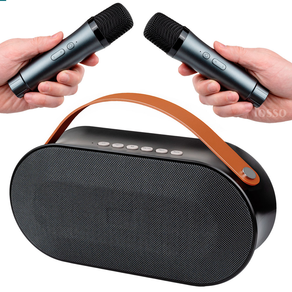 Караоке мікрофон LOSSO P10 Double з колонкою 30W бездротовий, фото 1