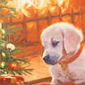 Наволочка декоративна з новорічним малюнком "Дитяча цікавість" XMas Puppy Centrotex, фото 7